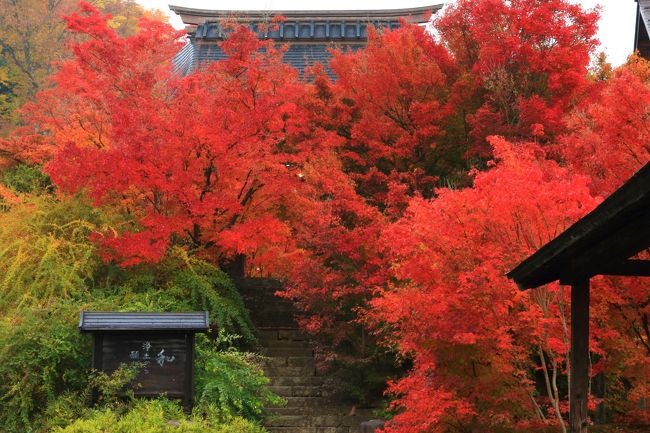 飯山市「称念寺」の写真　旅行のクチコミと比較サイト フォートラベルから